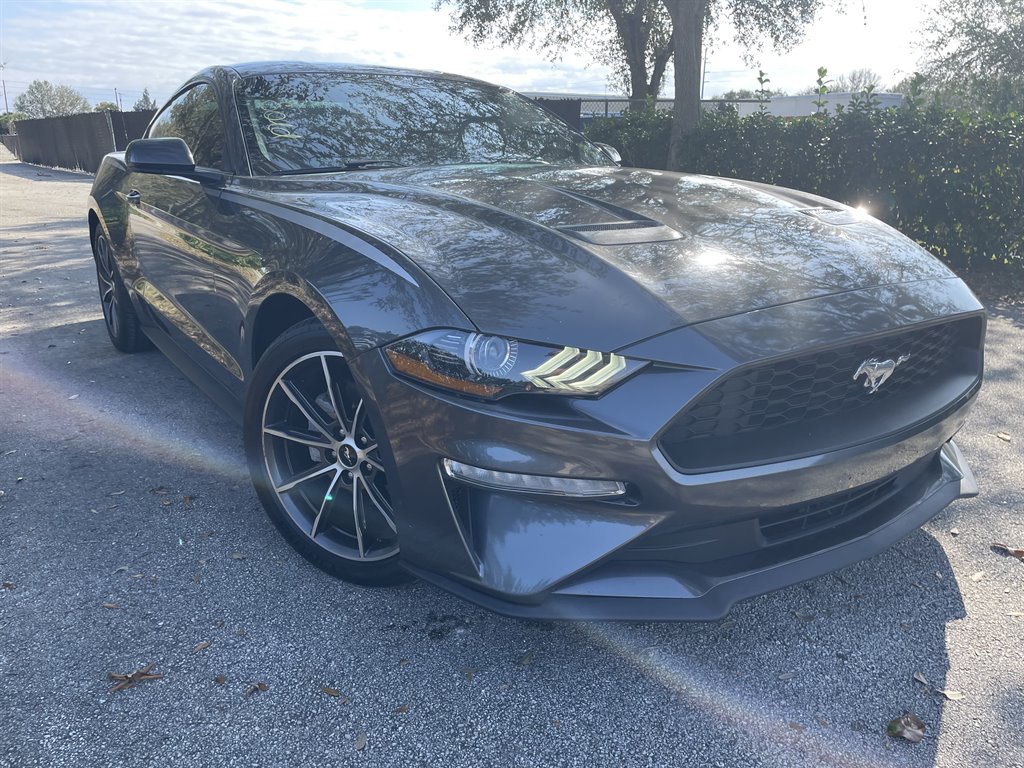 2019 Ford Mustang EcoBoost's photo
