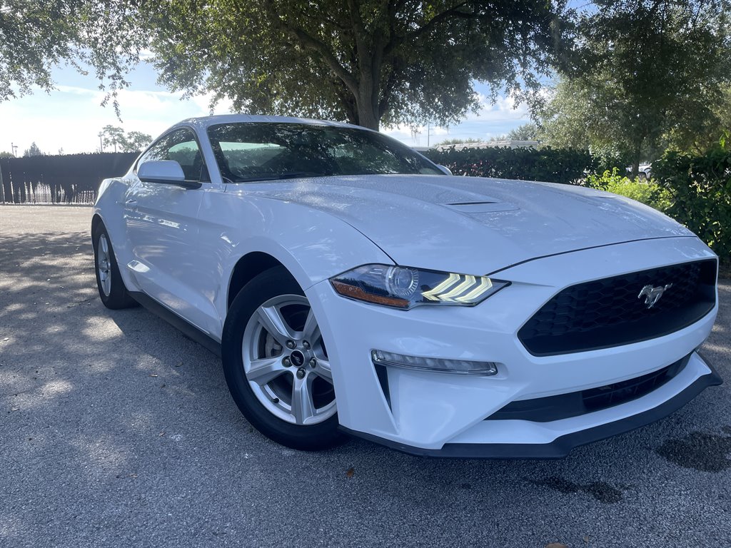 2019 Ford Mustang EcoBoost's photo
